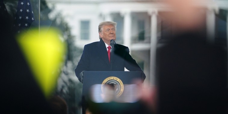 Donald Trump at The Ellipse near the White House